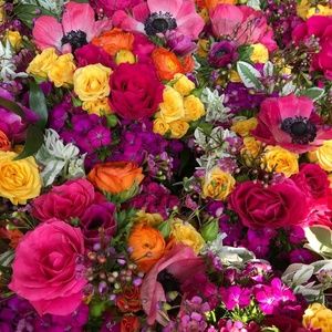 Meet your Posher, Becky